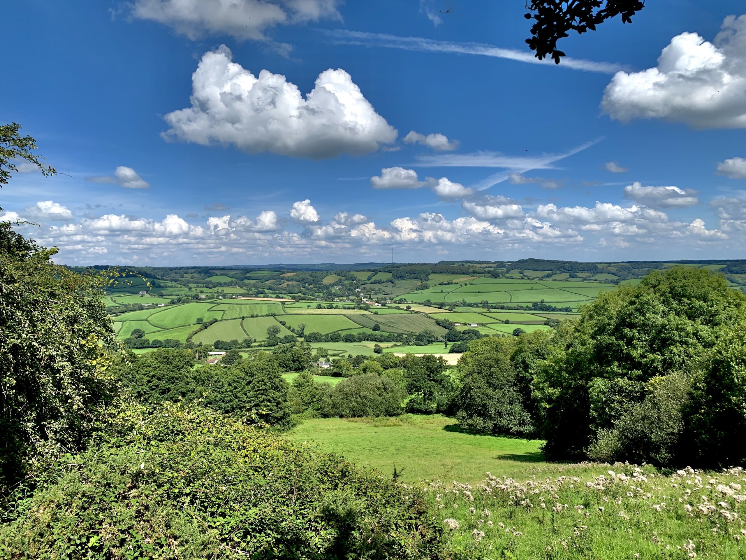 Miles of beautiful Devon views, featuring patchwork fields and bright green trees